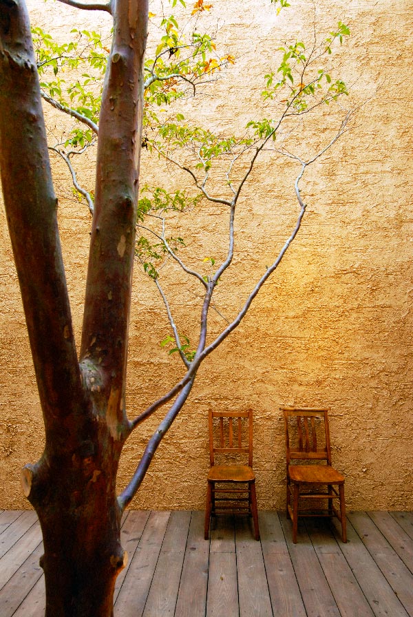 アトリエ&thinsp;クーブーの仙川の家で、実際の建物を直接ご覧いただけます。