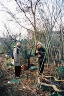 No.8 シンボル・ツリーを探しに飯野園へ
