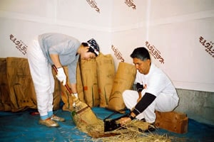 No.11 稲ワラ切りをするお客様